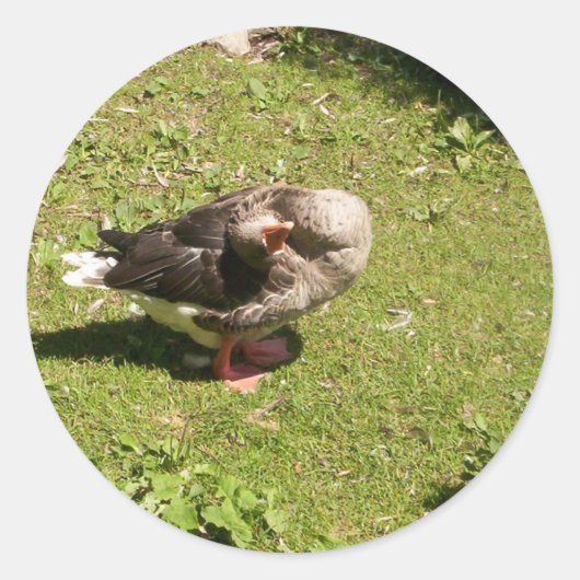 グース怒シール ラウンドシール (正面)