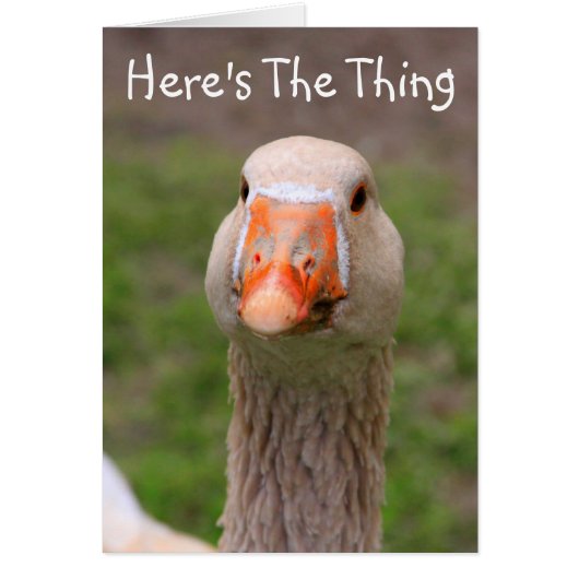 グース恋しく思本当に (正面)