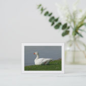 グース縁ど 名刺 (スタンド正面)