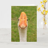 グース間抜け誕生日 カード (黄色い花)