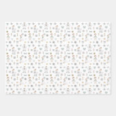 グース間抜け誕生日 ラッピングペーパーシート (正面3)