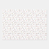 グース間抜け誕生日 ラッピングペーパーシート (正面3)