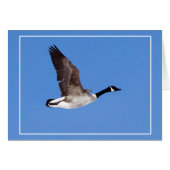 グース飛んでいる (正面横)