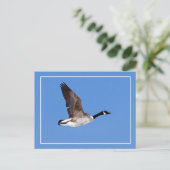 グース飛んでいる ポストカード (スタンド正面)