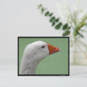 グース1 ポストカード (スタンド正面)