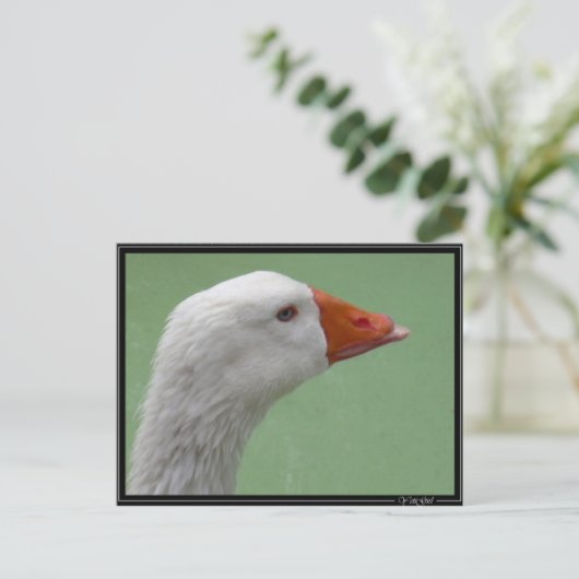 グース1 ポストカード (スタンド正面)