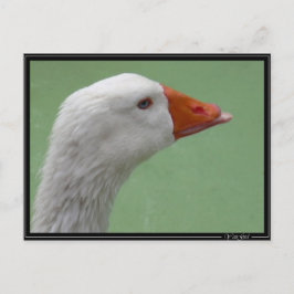 グース1 ポストカード