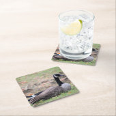 グース スクエアペーパーコースター (インサイチュ)