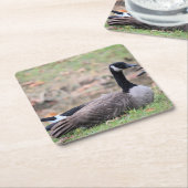 グース スクエアペーパーコースター (アングル)