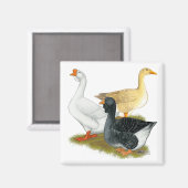 グース・トリオ マグネット (正面/裏面)