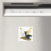 グース・トリオ マグネット (インサイチュ (食洗機))