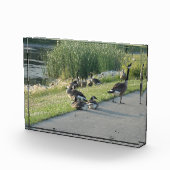 グース フォトブロック (右)