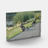 グース フォトブロック (左)