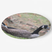 グース ペーパープレート (アングル)