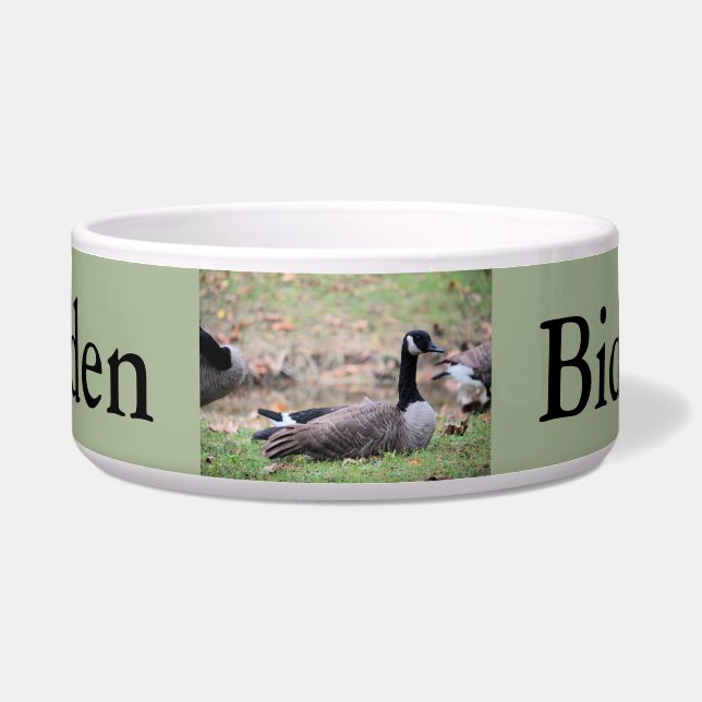 グース ボウル (正面)