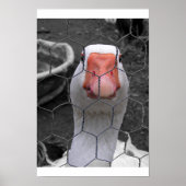 グース ポスター (正面)