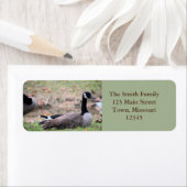 グース ラベル (インサイチュ)