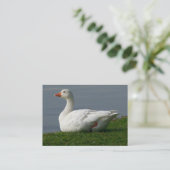 グース 名刺 (スタンド正面)