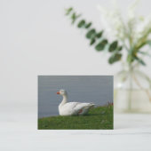 グース 名刺 (スタンド正面)