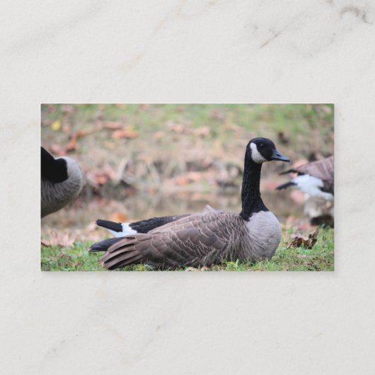 グース 名刺 (裏面)