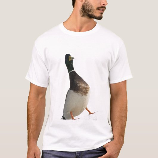 グーズ Tシャツ (正面)