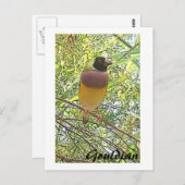 グーリアンカード ポストカード (正面/裏面)