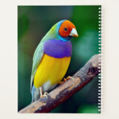 グールカラフルディスフィンチ プランナー手帳 (裏面)