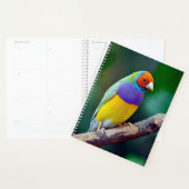 グールカラフルディスフィンチ プランナー手帳 (ディスプレー)