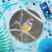 グールディアンフィンチ ペーパープレート (パーティー)