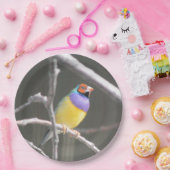 グールディアンフィンチ ペーパープレート (パーティー)