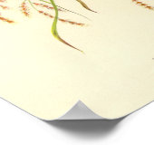 グールド・グールディアン・フィンチ・ポートフォリオ・ポスター ポスター (角)