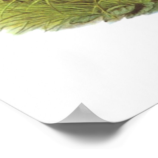 グールド – コーンクラーク – Crexクレックス ポスター (角)