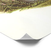 グールド – マンクス・シアウォーター – プロセルラリア・パフィヌス ポスター (角)