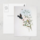 グールド – Jericho Sunbird ポストカード (正面/裏面)