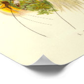 グールド – Lesser Bird Of Paradiseポートフォリオ ポスター (角)