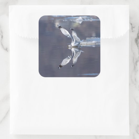 グール反射 スクエアシール (バッグ)