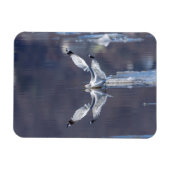 グール反射 マグネット (横)