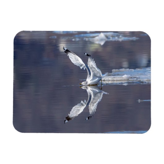 グール反射 マグネット (横)