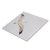 グ飛んでいるル タイル (側面)