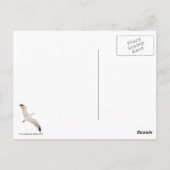 グ飛んでいるル ポストカード (裏面)