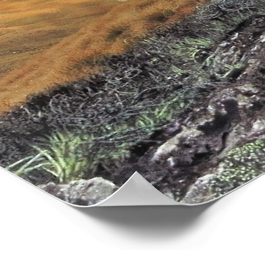 ケアカントリー ポスター (角)