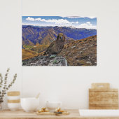 ケアカントリー ポスター (キッチン)