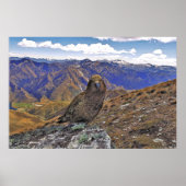 ケアカントリー ポスター (正面)