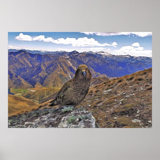 ケアカントリー ポスター (正面)