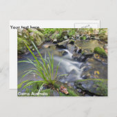 ケアンズフォレストオーストラリアポストカード ポストカード (正面/裏面)