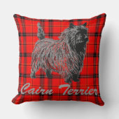 ケアンテリアオンプレイド クッション (正面)