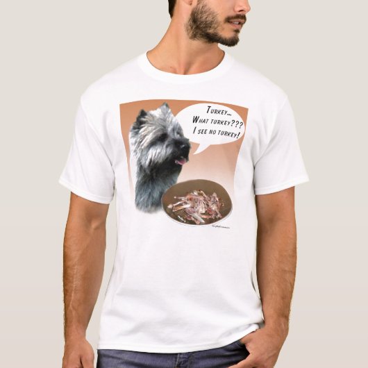 ケアンテリアトルコ Tシャツ (正面)