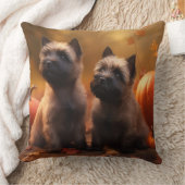 ケアンテリアパピーオータムデライトカボチャ クッション (ブランケット)