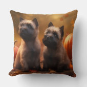 ケアンテリアパピーオータムデライトカボチャ クッション (正面)