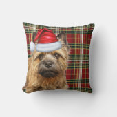 ケアンテリアレッドグリーンプレイドクリスマスホリデー クッション (正面)
